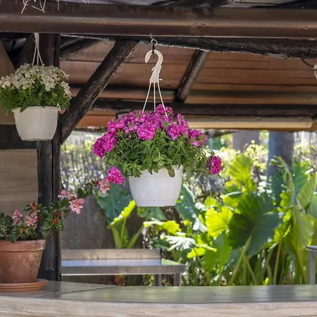 Cubo's Casa El Candil 8 Pax *